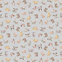 ttDOG-CD4853 GREY